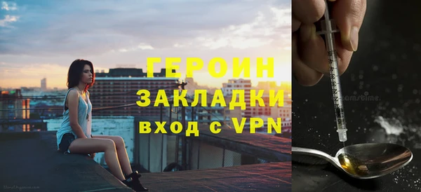 гидра Богородицк