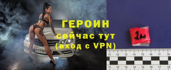 гидра Богородицк