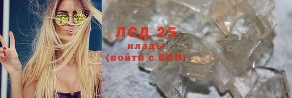 спайс Богданович