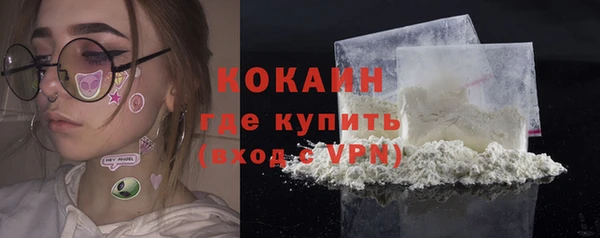 спайс Богданович