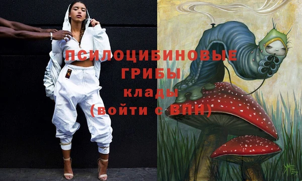 гидра Богородицк