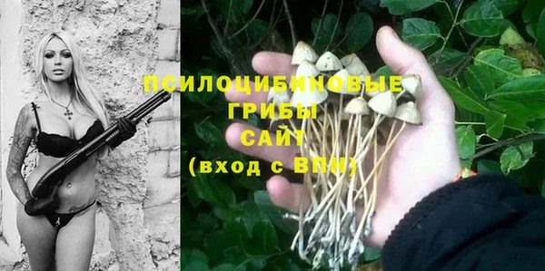 спайс Богданович
