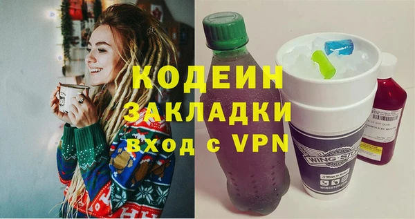 гидра Богородицк