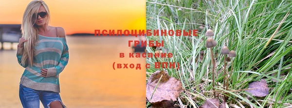герыч Богородск