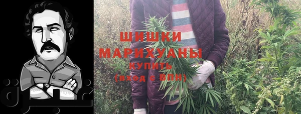 спайс Богданович