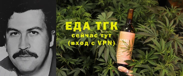 гидра Богородицк