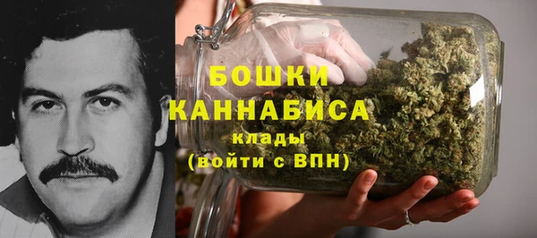 гидра Богородицк