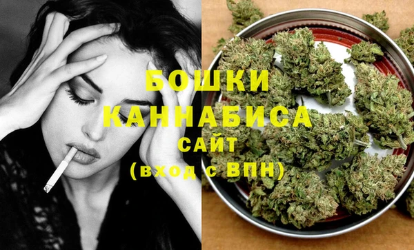 гидра Богородицк