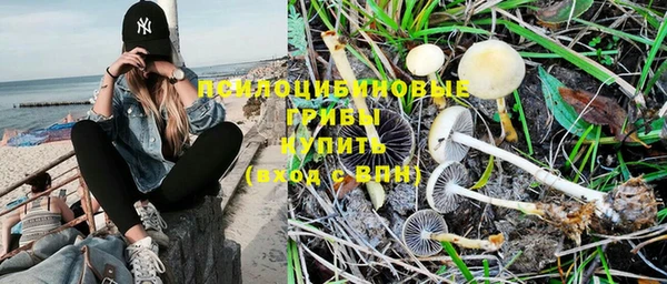 гидра Богородицк