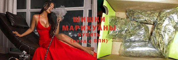 спайс Богданович