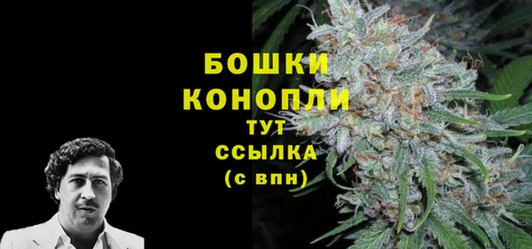 спайс Богданович