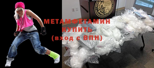 гидра Богородицк