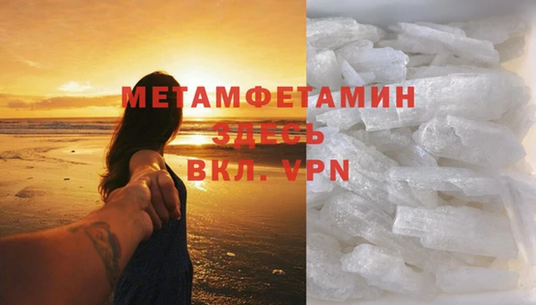 гидра Богородицк
