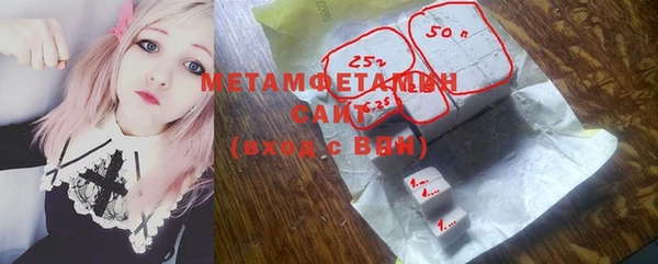 гидра Богородицк